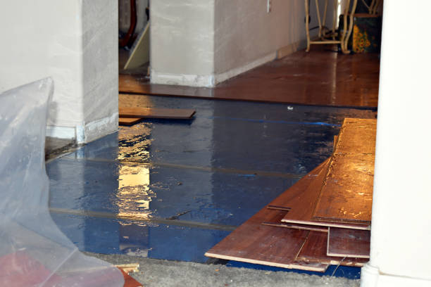 Professional Burst Pipe Water Damage technician working in Harrison, NY